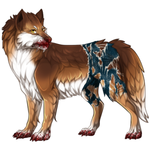 pet #3477